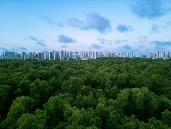 L'éthique en formation médicale : Un pilier essentiel pour des praticiens intègres