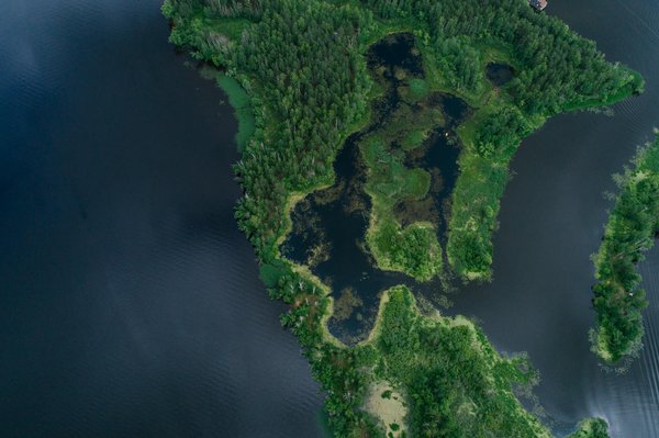 L'Épopée des Arts de la Rue en France: Un Voyage Historique